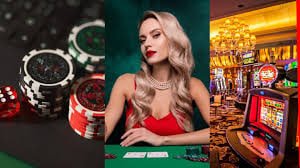 539 bet